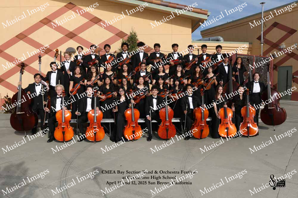 Musical Images